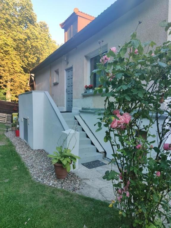 Przytulny Pokoj W Zacisznej Okolicy Z Lazienka Wspolna Dla Dwoch Pokoi Sopot Dış mekan fotoğraf